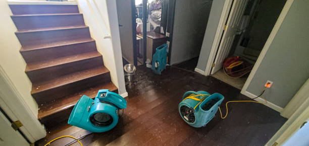 Best Flood damage cleanup  in East Point, GA