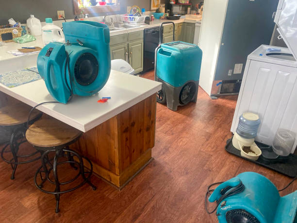 Best Ceiling water damage repair  in East Point, GA
