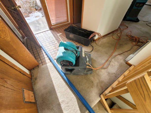 Best Water damage restoration process  in East Point, GA
