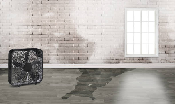 Best Professional water damage repair  in East Point, GA