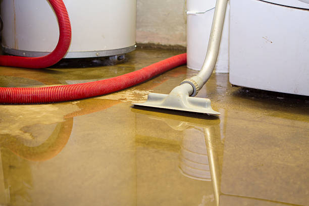 Best Local water damage restoration  in East Point, GA