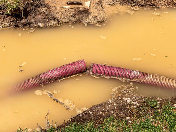 Best Basement water damage restoration  in East Point, GA