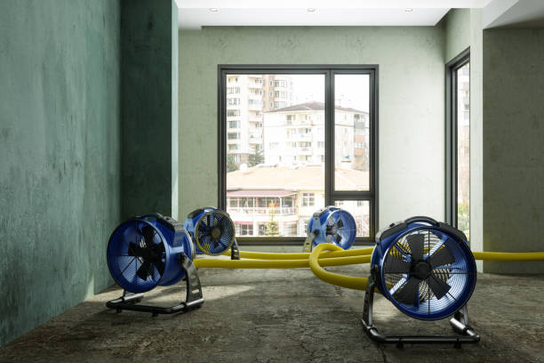 Best Water damage restoration near me  in East Point, GA