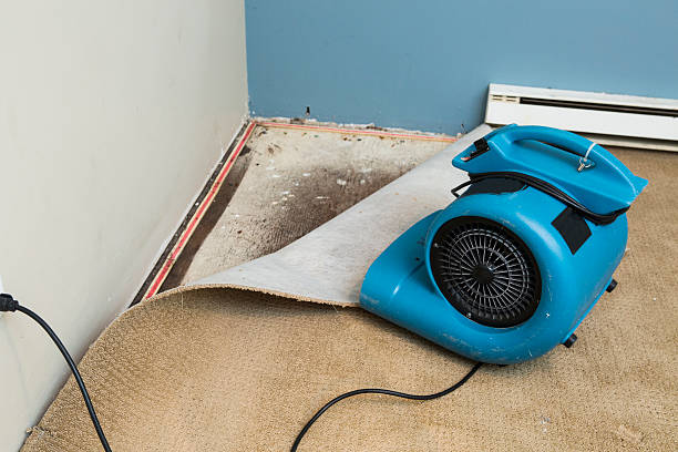 Best Fire Damage Restoration  in East Point, GA